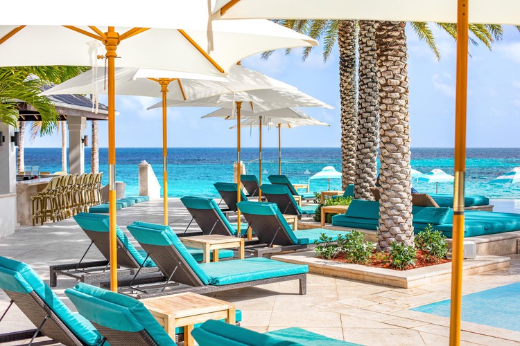 Blue lounge chairs beside palm trees facing ocean