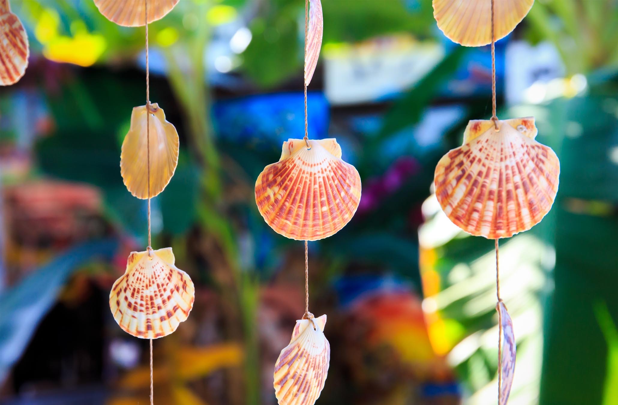 Shells hanging on string