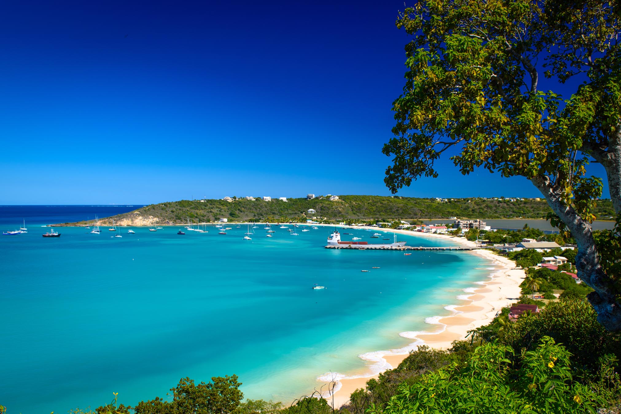 Oceano ao lado da praia e colina com árvores